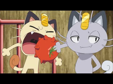 ポケットモンスター サン＆ムーン　第62話　悪のニャースはアローラニャース！？