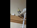 もう怖くないよ！