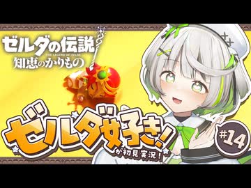 ゼルダの伝説 知恵のかりもの ┆好みのゲルド族み～つけた♡┆14〖 初見実況 〗