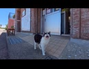 海釣り公園の受付係はまさかの猫でしたｗｗｗ□