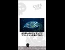 人類の救世主 海に浮かぶ透明な物体 #雑学 #くろまる大冒険