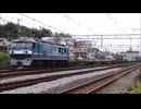 2026年6月貨物列車撮影記録