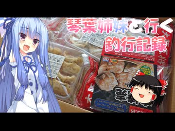 琴葉姉妹と行く釣行記録（暇潰し編part77）