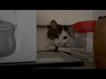 上半期おつかれさまでした