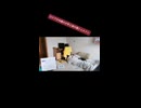 ​【16歳のロシア人】うちの猫シェルドン wwwwww