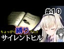 ちょっぴり縛りで【サイレントヒル】を一人と一羽がプレイ part10