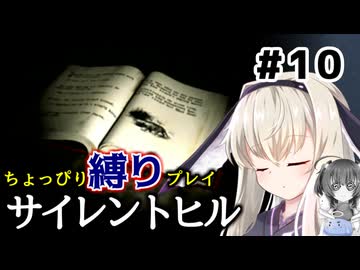 ちょっぴり縛りで【サイレントヒル】を一人と一羽がプレイ part10