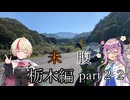 未知なるハンバーガーを腹に納めて【part22】