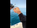 【釣り】ボートからサビキ釣り！深海50mにベイトがびっしり！？その結果…