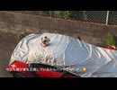 とあるバイクの通勤風景202606230