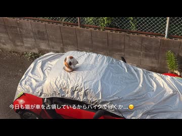 とあるバイクの通勤風景202606230