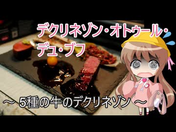 【デクリネゾン料理祭】幼稚園児でも簡単料理？＃44【牛のデクリネゾン】