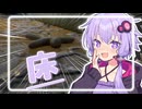【めっちゃカメレオン】隠れ隠されゆかりさん