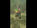 【ティアキン】マクミノ谷のライネル　ゼルダの伝説ティアーズオブ ザキングダムNintendo Switch 2 Edition