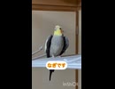 僕の歌を聴いて□