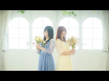 【ごはん×ささくれMAX】 ドライドライフラワー 【踊ってみた】