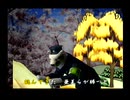 くまうた（7788）「亜美真美からの勝負」　唄：嵐山クマ男（夫）