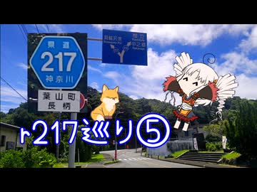 【ついなちゃん車載】都道府県道217号巡礼の旅に付き合わされるついなちゃん 第五夜