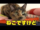 最近、猫かどうかが怪しくなってきたうちの生き物