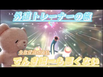 外道トレーナーの旅11　でんき統一は初心者向け
