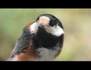 6月の面倒なヤツラー　その3