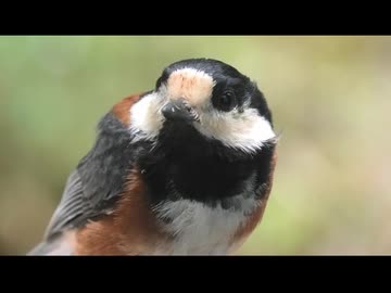 6月の面倒なヤツラー　その3
