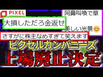何でも屋のピクセルカンパニーズ上場廃止決定でホルダーの悲鳴が止まらない【ずんだもん解説】2025/12/21