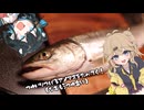 梅雨入りを告げるアメマスを食べてく！（なおもう梅雨明け）