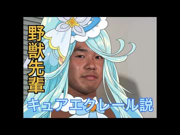 野獣先輩キュアエクレール説