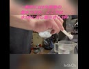 メギスを干物にするよ！