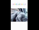 きょうはどこいくの？