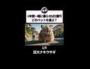 どのペットを選ぶ？1年間一緒に暮らせば2億円