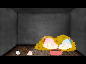 【ｾ虐】実験しよう
