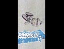 【星の子ポロン】スカイダイビング合作開催！【詳細は動画説明文参照】