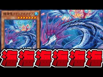 【遊戯王】 海じゃないけど海の仲間が増えたよ 『耀爛竜コラリアネクテス』 【ゆっくり解説】