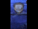 解放の軌跡Ⅲ (BRONZE)