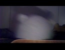 かわぐちくんのASMR　ASMR