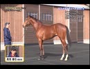 ２歳馬のＸＸＸをゆかりんがナニする番組2026 part.2
