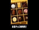 【トモコレわくわく生活】Miiニュース「お宝チョコ新発売！」佐々木小次郎