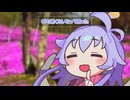 CDも悪くないな【日記をかけ】(2026年7月1日)