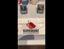 【Vlog】まんだらけ大宮店に行ってきました（購入品紹介）