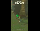 【ティアキン】双子山南の青ヒノックス　ゼルダの伝説ティアーズ オブ ザ キングダムNintendo Switch 2 Edition