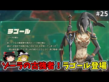 古強者ラゴール登場 初めての封印戦記！part25【ゼルダ無双 封印戦記】【ゆっくり実況】