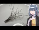 「熊の毛」