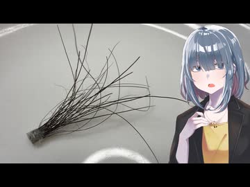 「熊の毛」