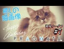 【プラグマタ】射撃しつつパズルするとかいうマルチタスクすぎるゲーム #7【初見ノーダメ】