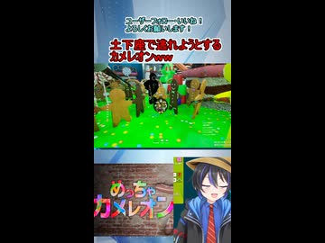 ショート動画【配信切り抜き】めっちゃカメレオン！全力土下座で見逃してもらおうとするカメレオンｗｗｗｗ