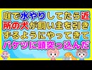 庭で水やりしてたら、散歩中だったらしい近所の犬がゼーゼーしながら飼い主を引きずるようにしてやってきて…