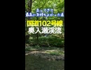 国道102号線 奥入瀬渓流