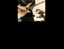 日向坂46 Kind of love アウトロ ハモリver.